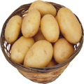 Fresh Potato Wholesale From China